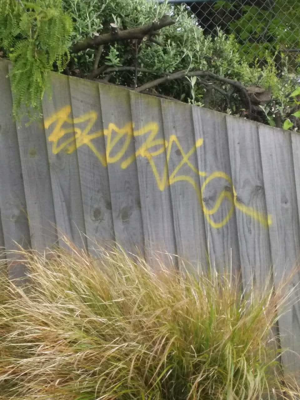 The photograph attached to this graffiti report
