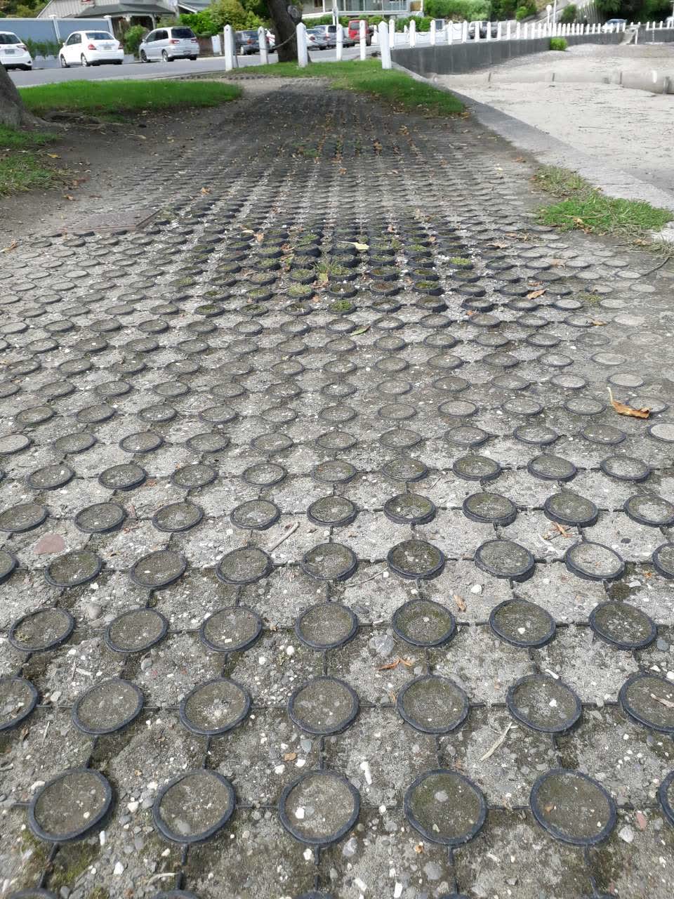 The photograph attached to this parks report