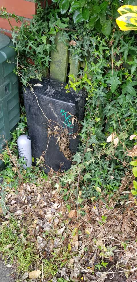 Graffiti, a report photo