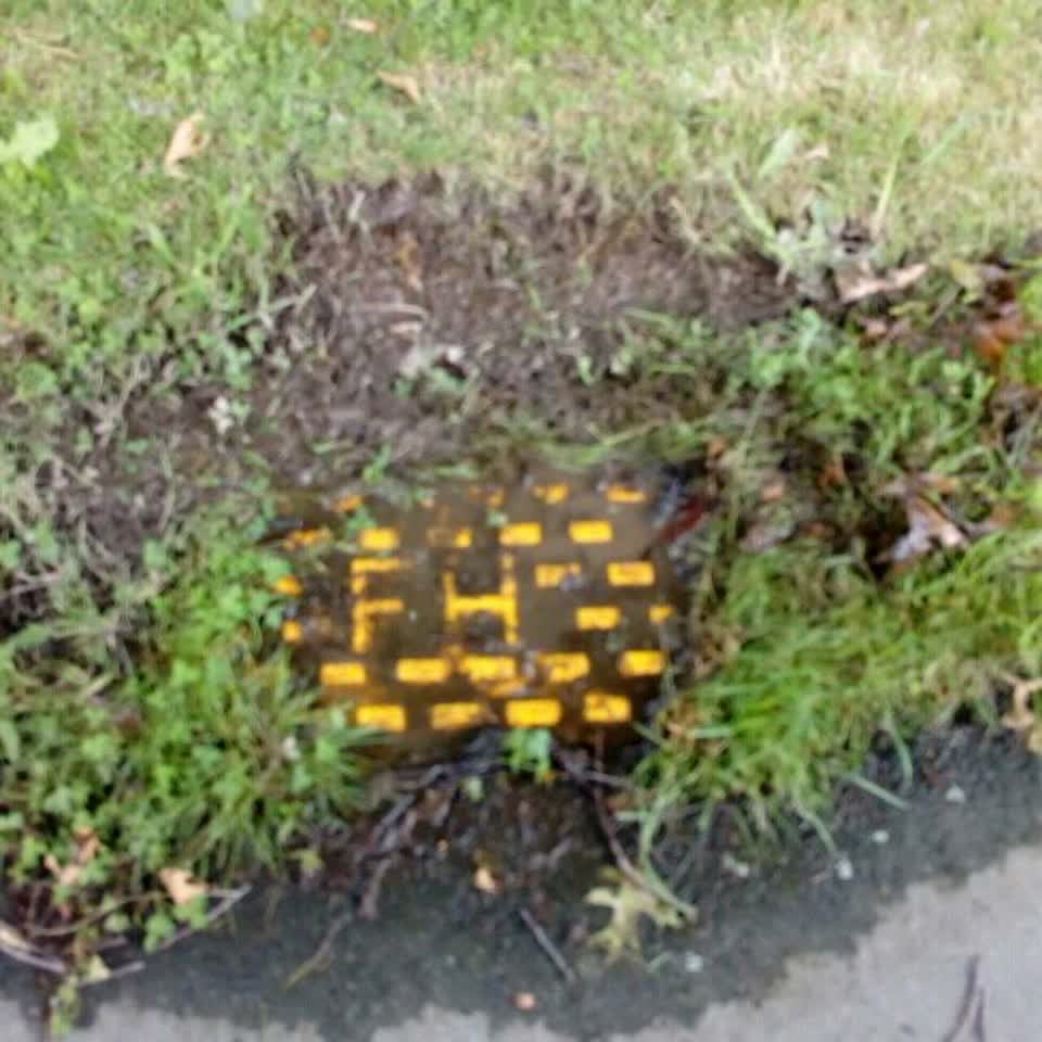 The photograph attached to this water supply report