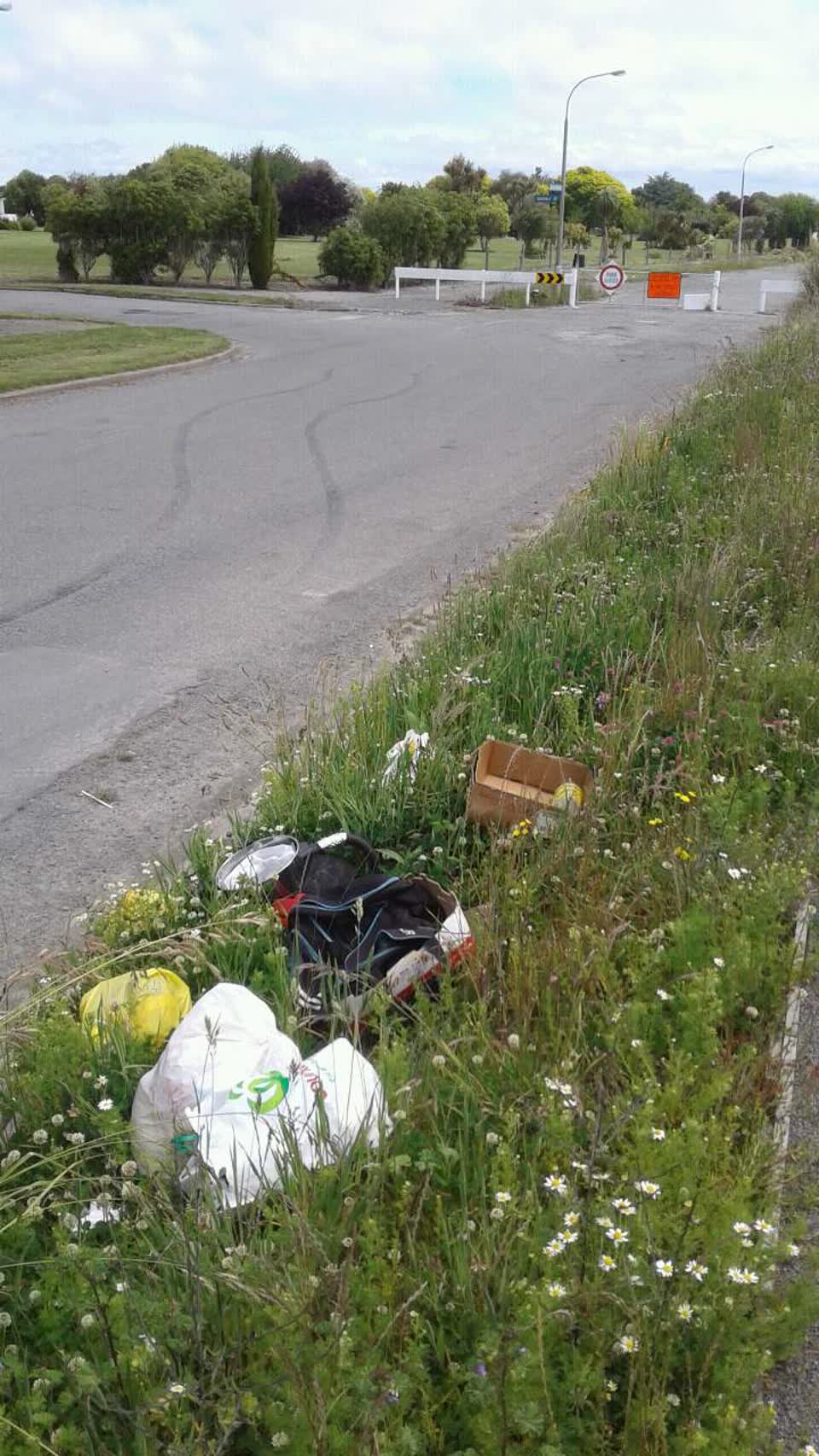 The photograph attached to this rubbish/recycling report