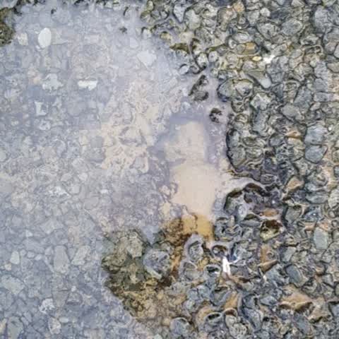 Water Supply, a report photo