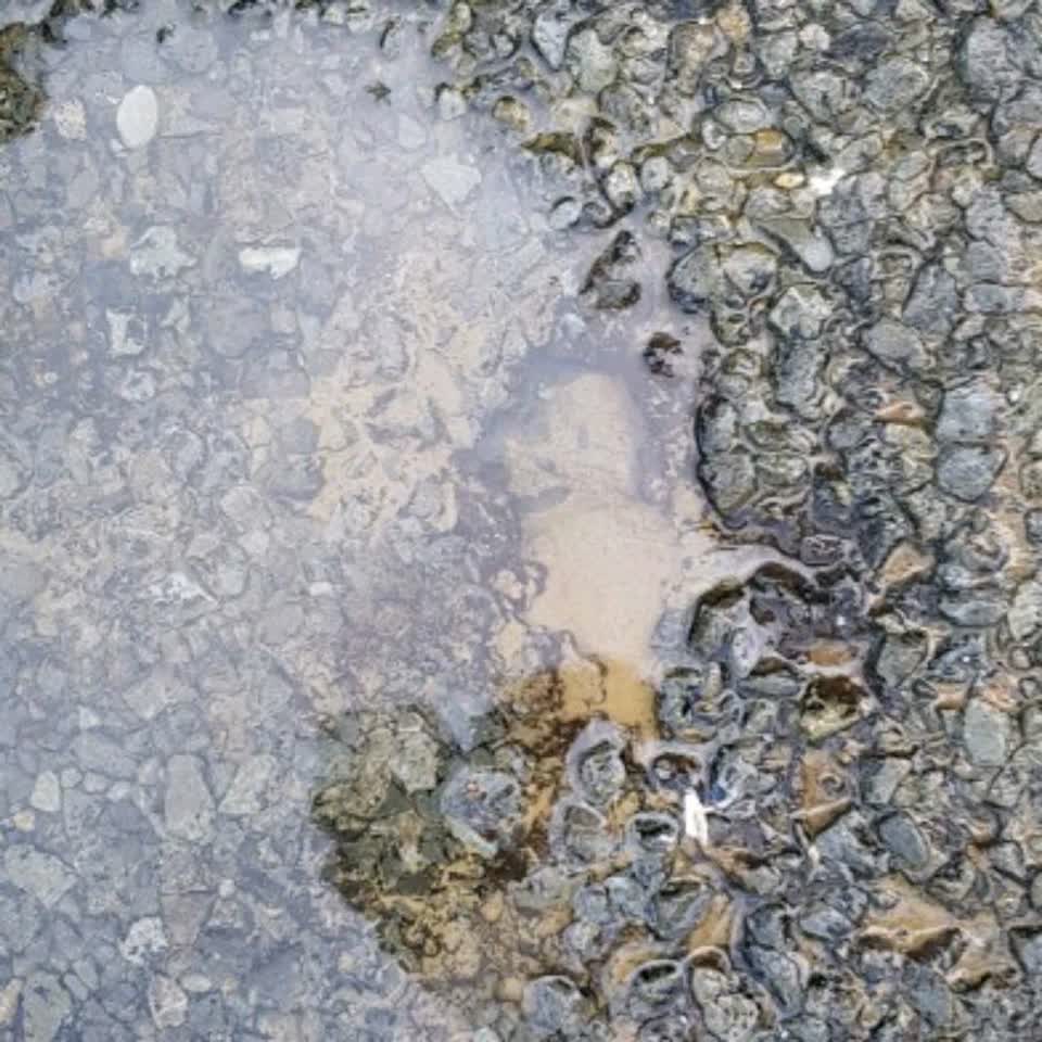 The photograph attached to this water supply report