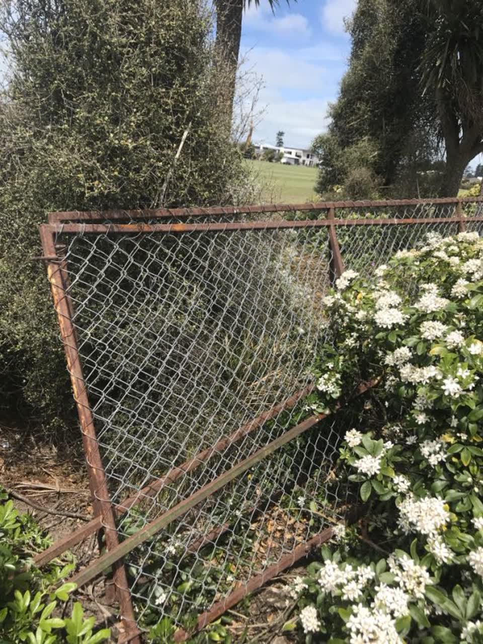 The photograph attached to this parks report