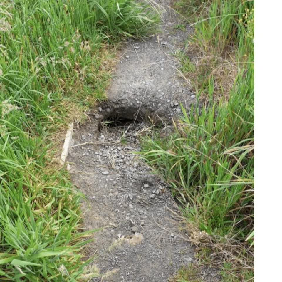The photograph attached to this parks report
