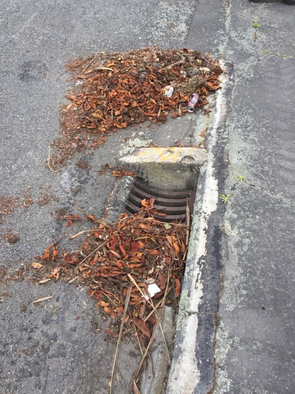 The photograph attached to this wastewater/stormwater report