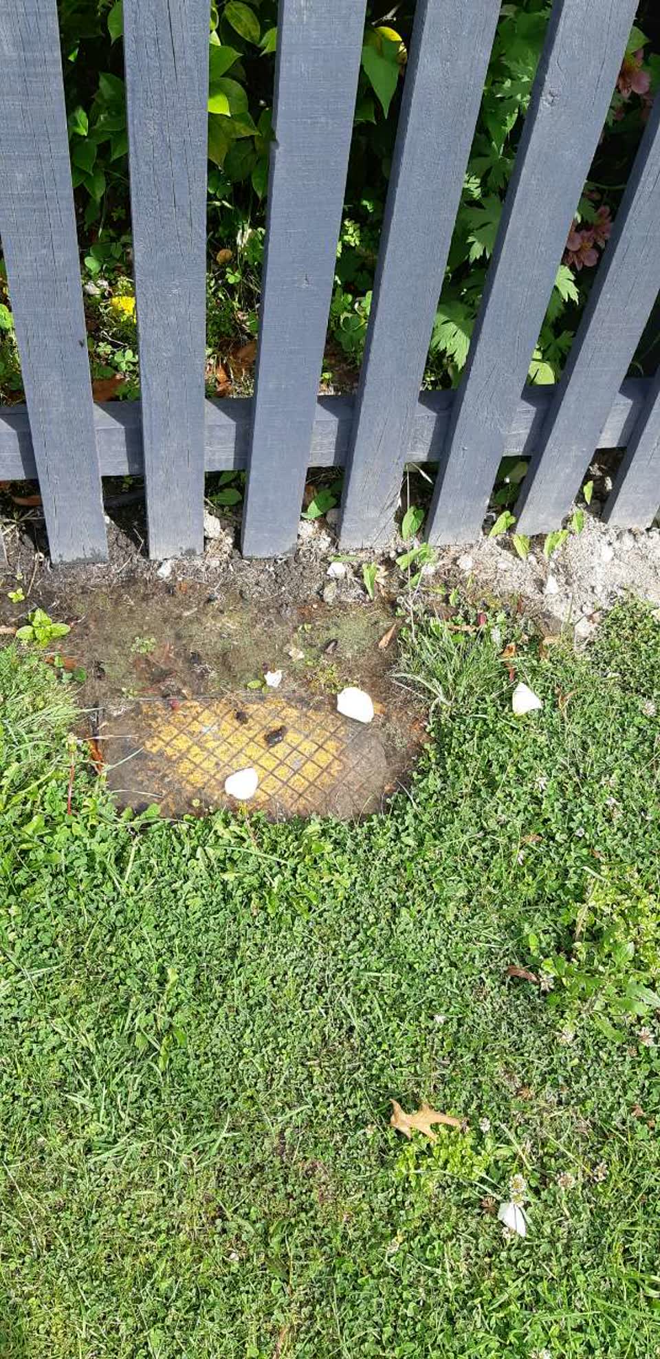 The photograph attached to this water supply report