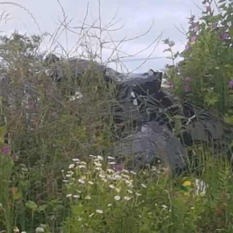 Rubbish/Recycling, a report photo
