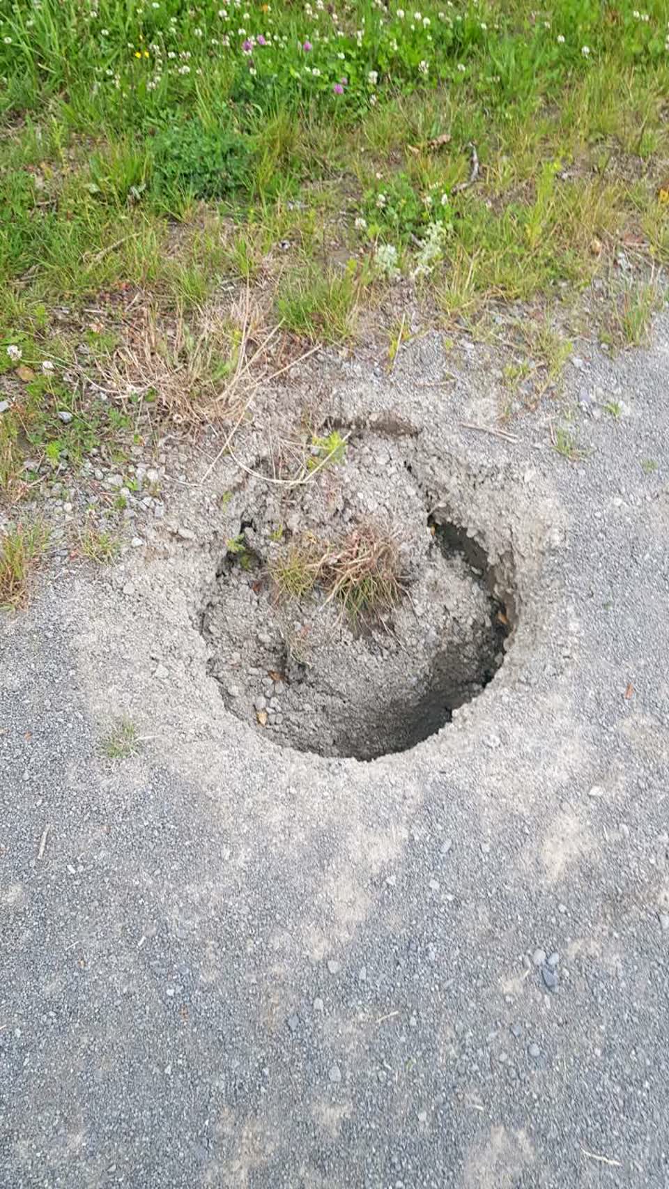 The photograph attached to this parks report