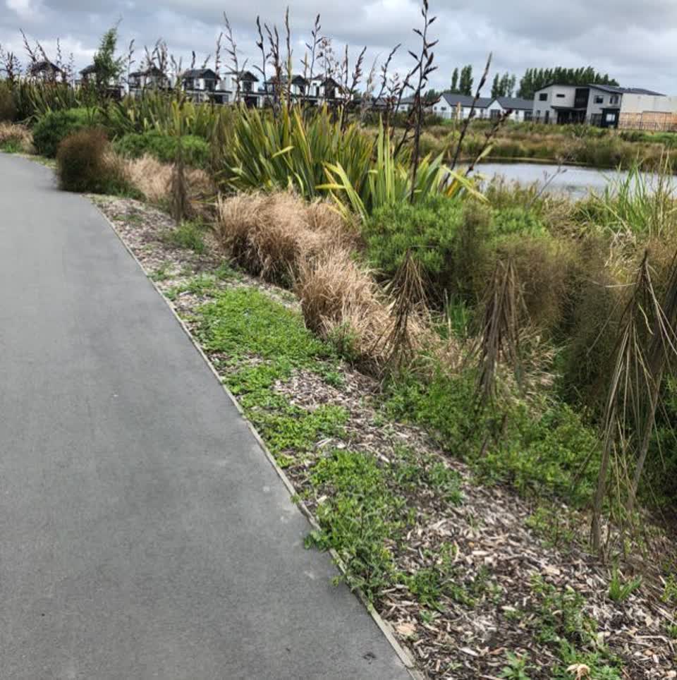 The photograph attached to this parks report