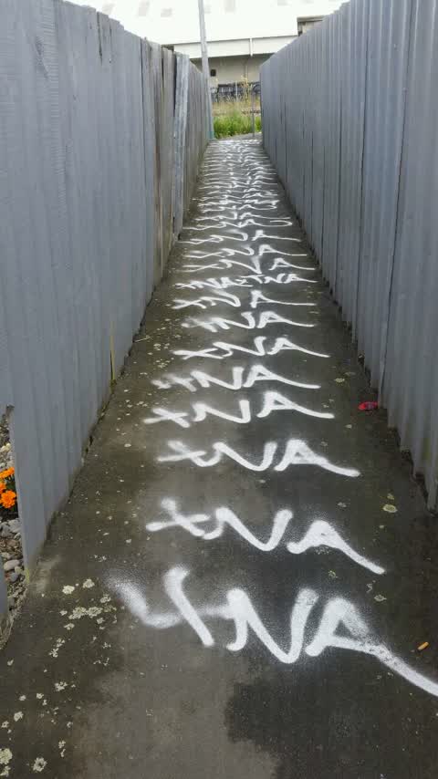 Graffiti, a report photo