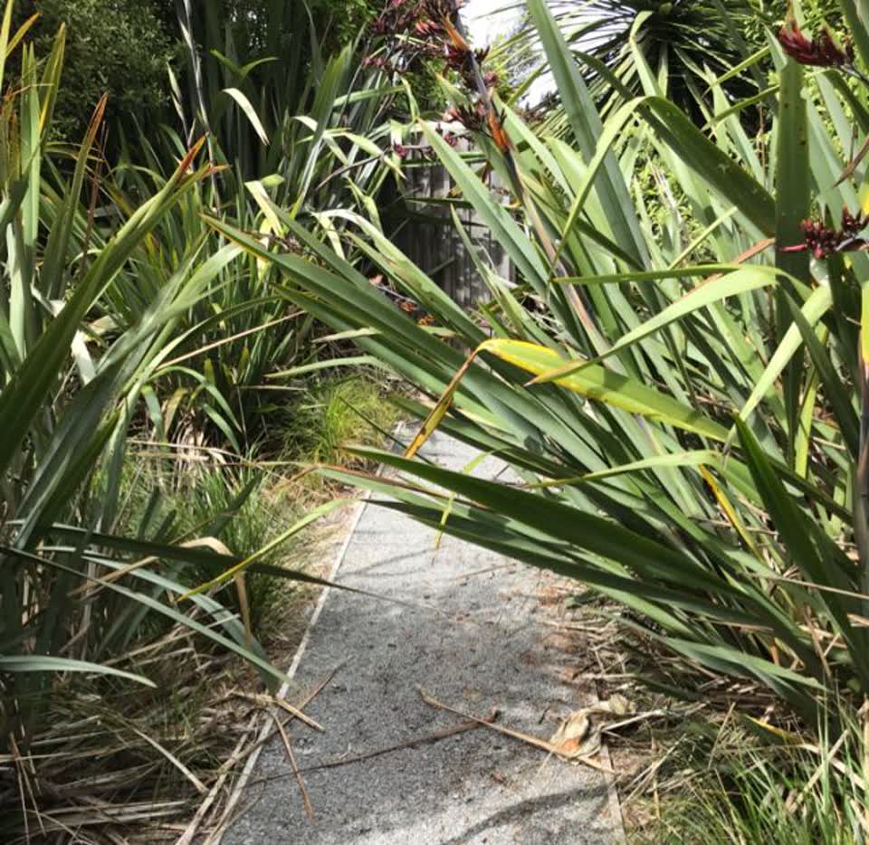 The photograph attached to this parks report