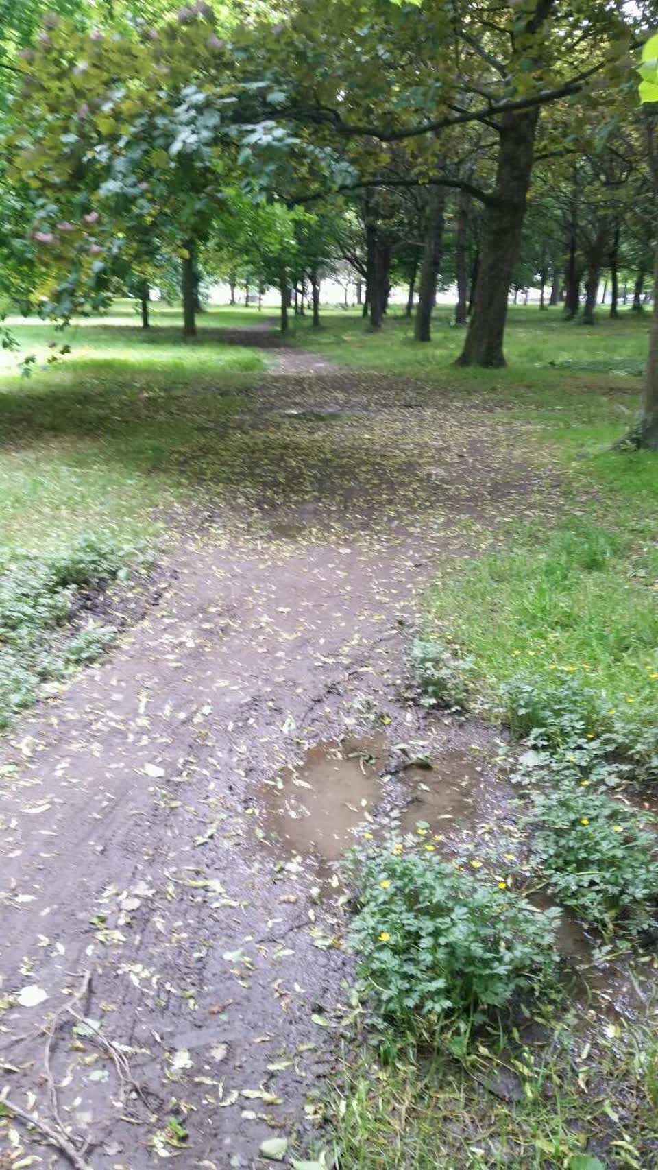The photograph attached to this parks report