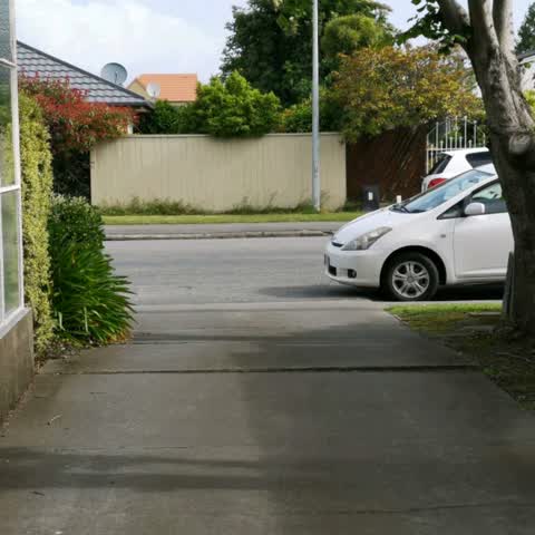 Parks, a report photo