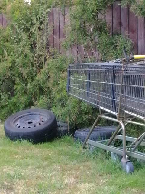 Rubbish/Recycling, a report photo