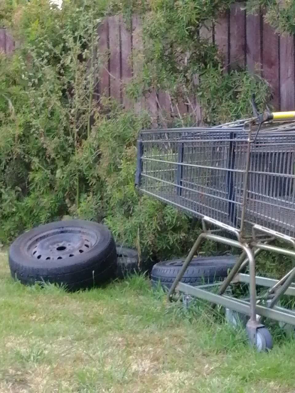 The photograph attached to this rubbish/recycling report