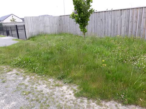Roading/Streets, a report photo