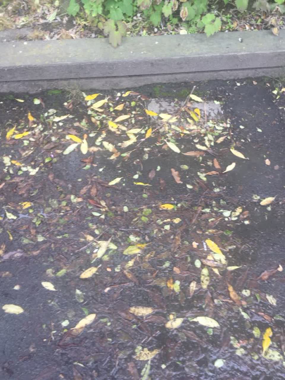 The photograph attached to this water supply report