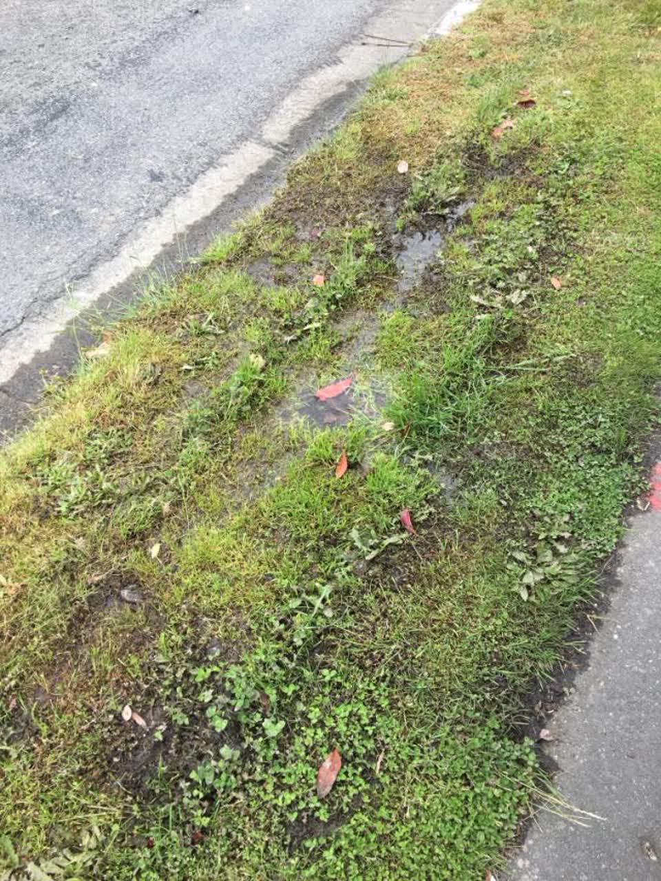 The photograph attached to this water supply report