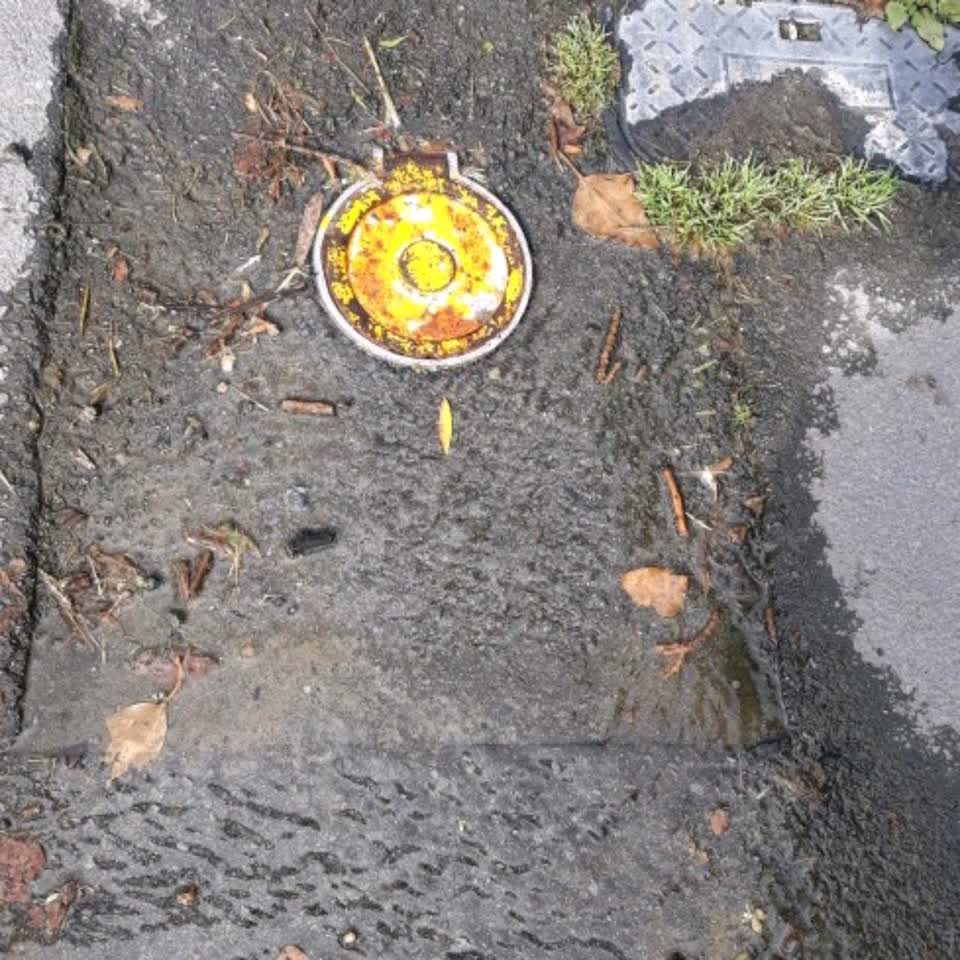 The photograph attached to this water supply report