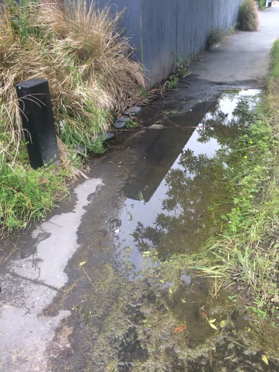 The photograph attached to this water supply report