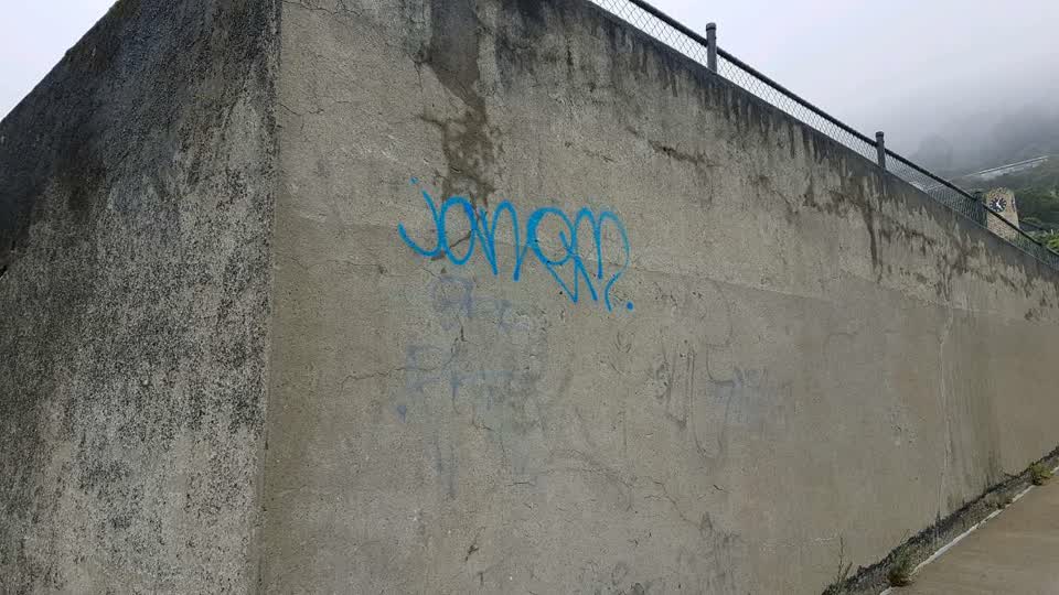 The photograph attached to this graffiti report