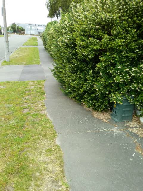 Roading/Streets, a report photo