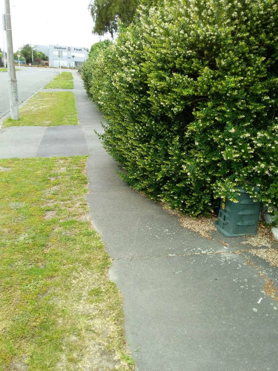 The photograph attached to this roading/streets report
