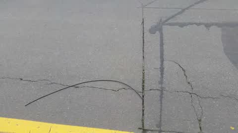 Roading/Streets, a report photo