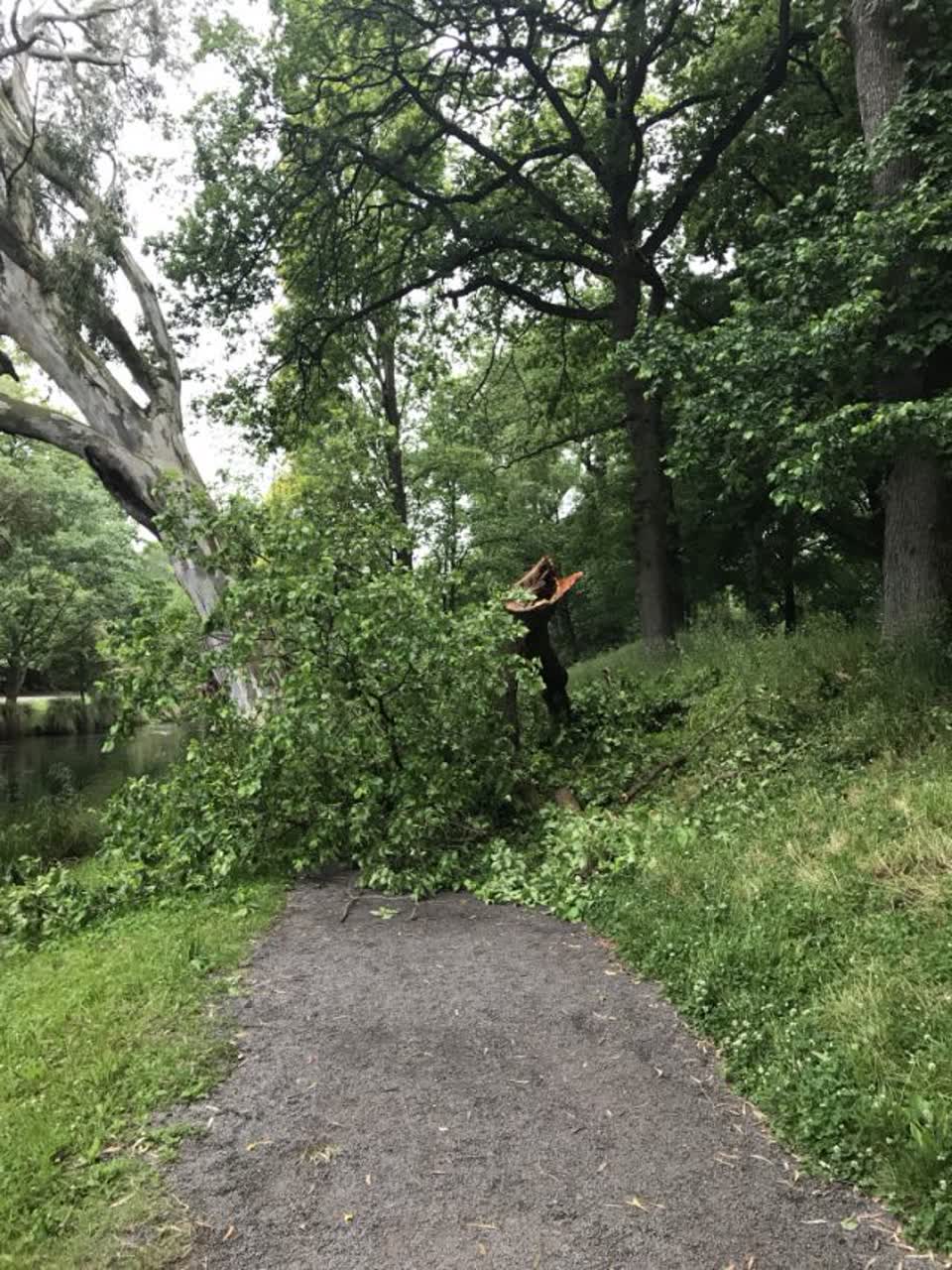 The photograph attached to this parks report