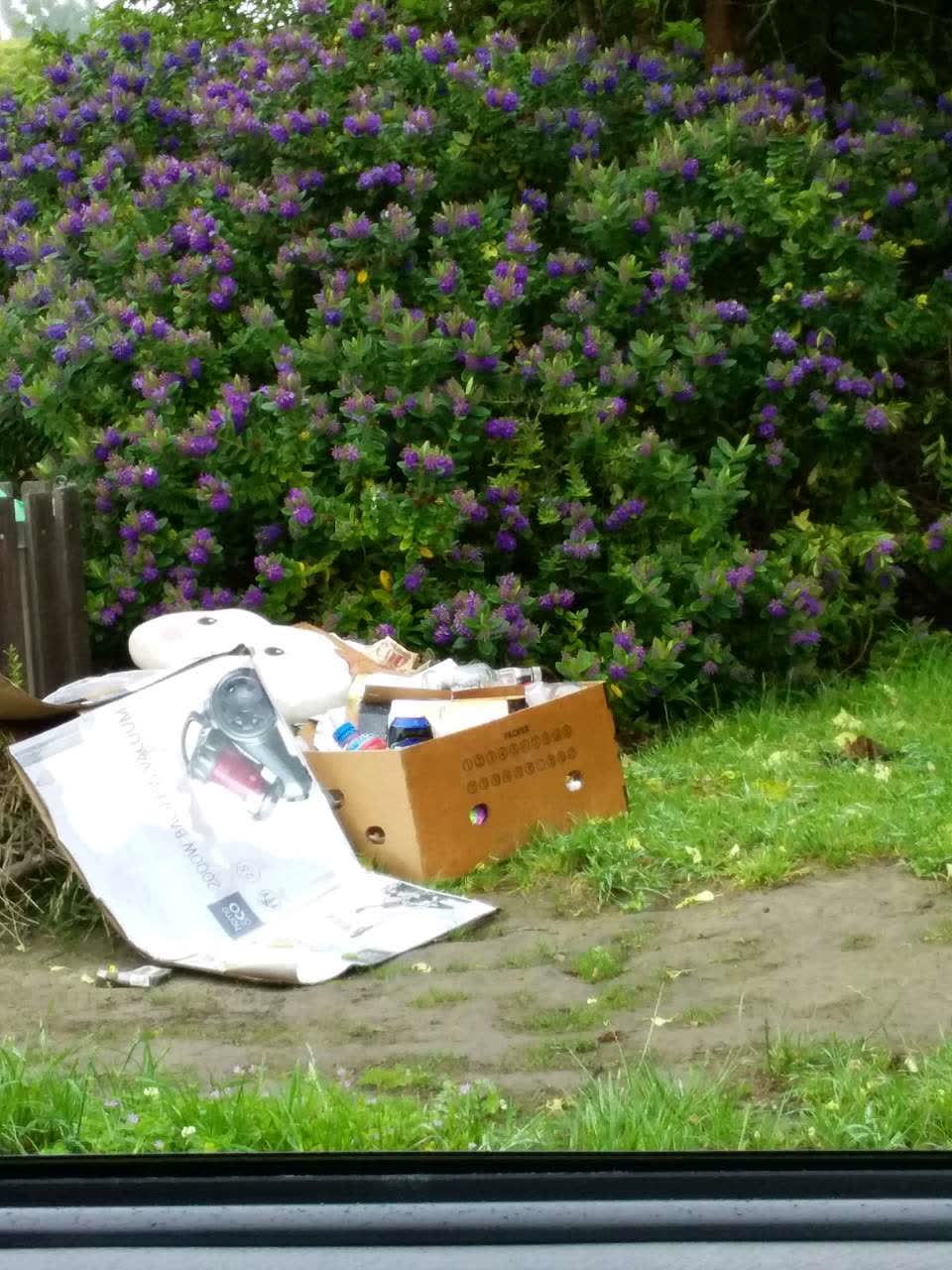 The photograph attached to this rubbish/recycling report