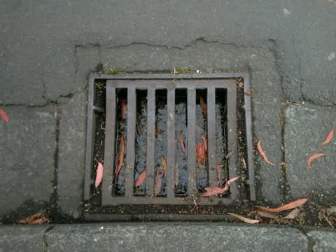Wastewater/Stormwater, a report photo