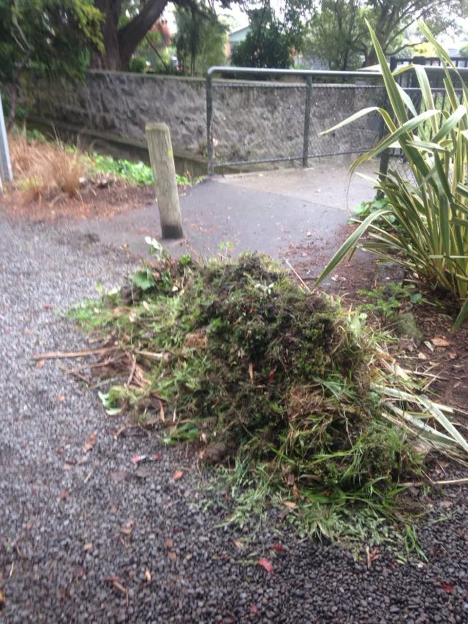 The photograph attached to this parks report