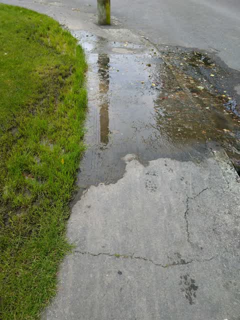 Water Supply, a report photo