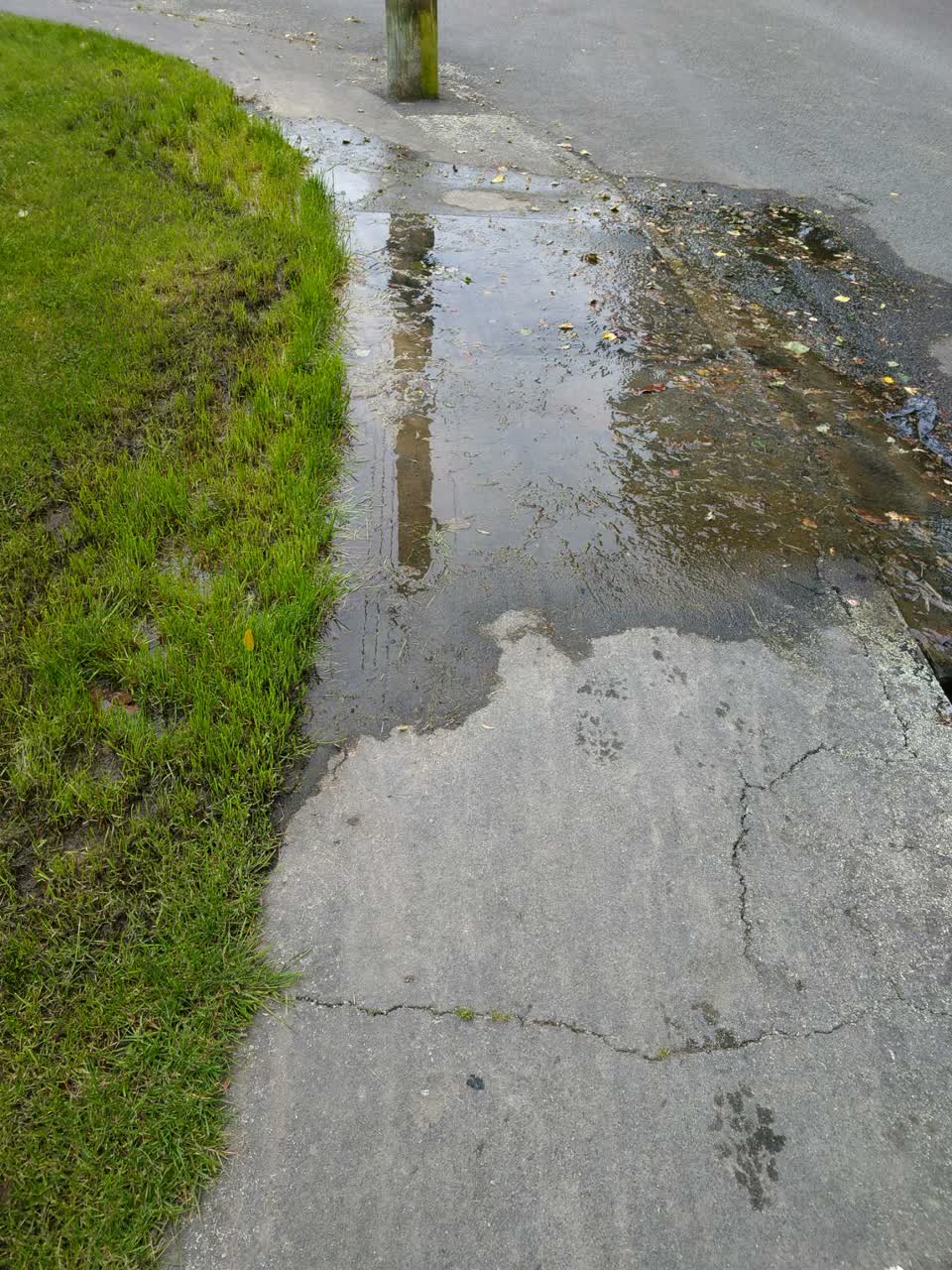 The photograph attached to this water supply report