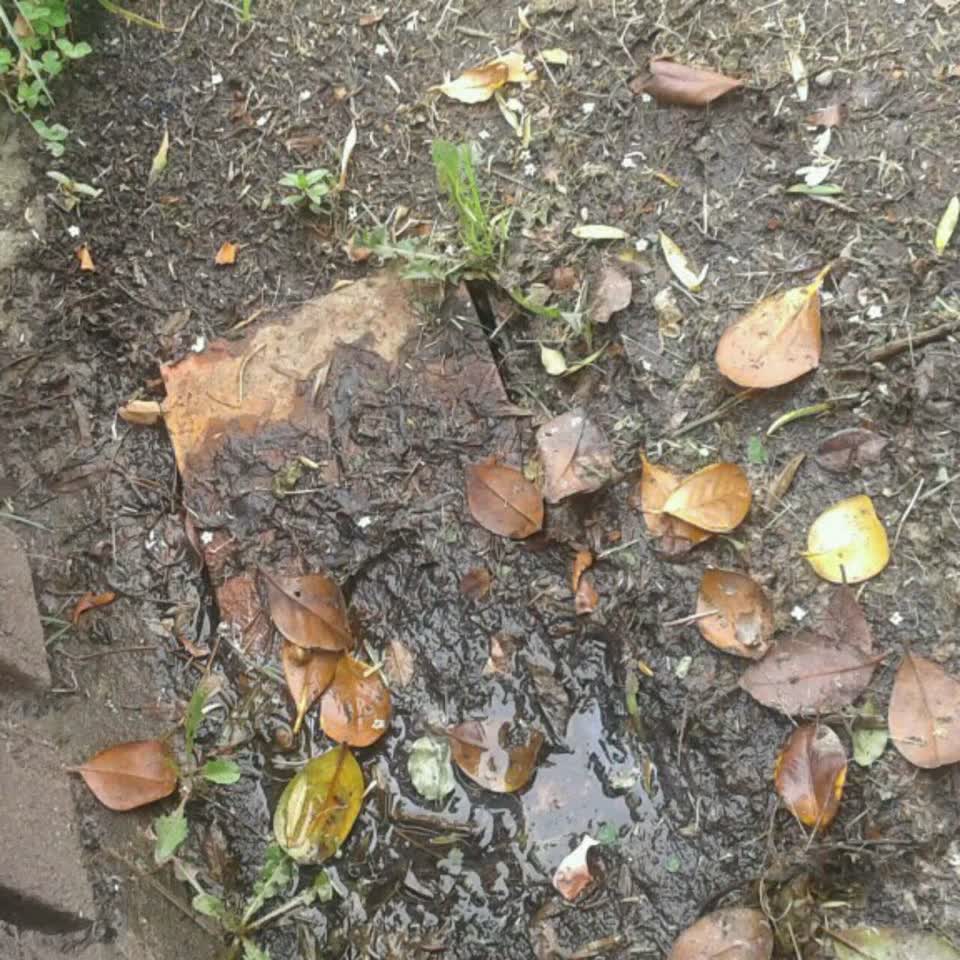 The photograph attached to this wastewater/stormwater report