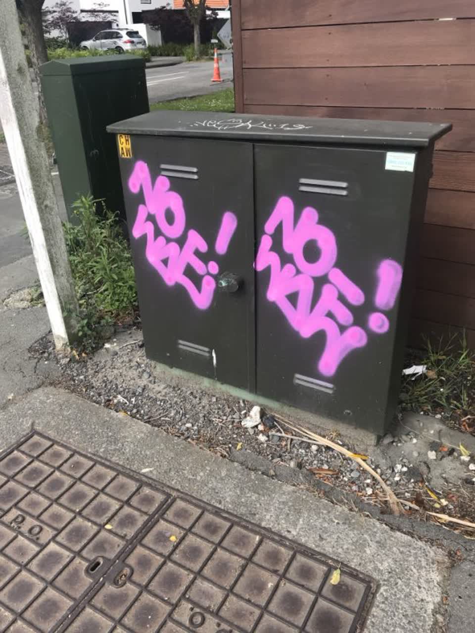 The photograph attached to this graffiti report