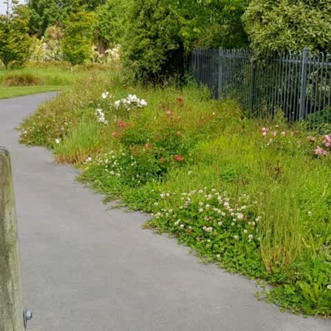 Parks, a report photo