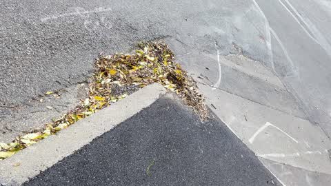 Roading/Streets, a report photo