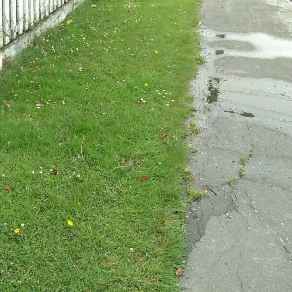 The photograph attached to this water supply report