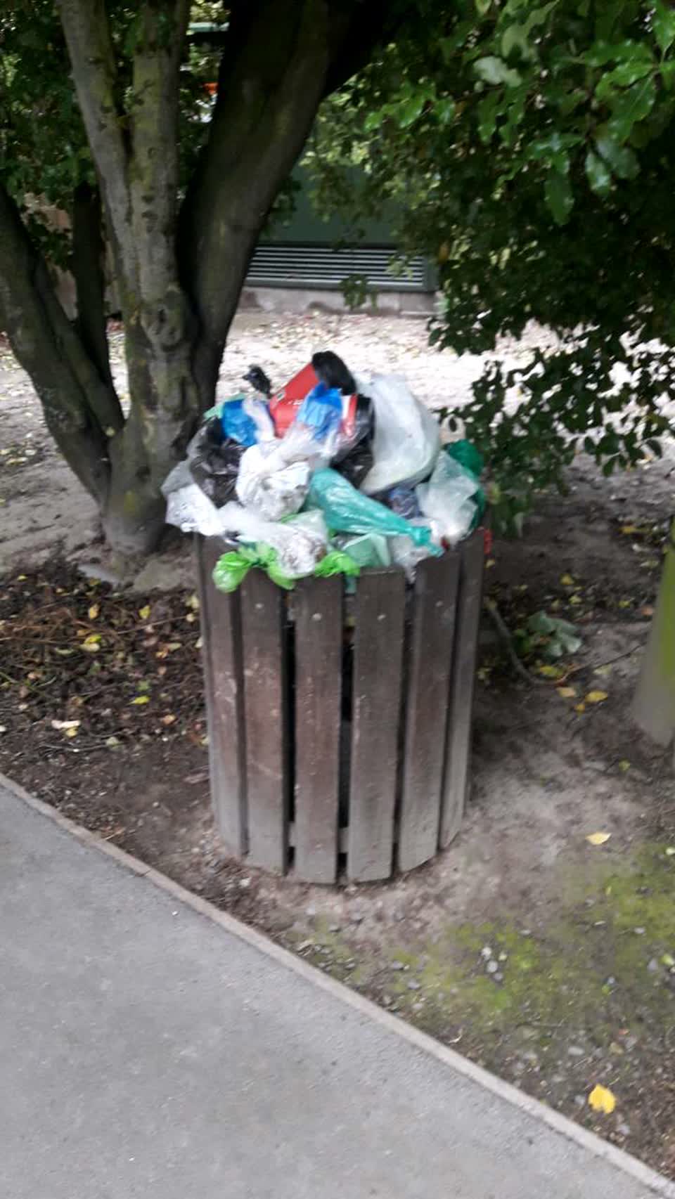 The photograph attached to this parks report