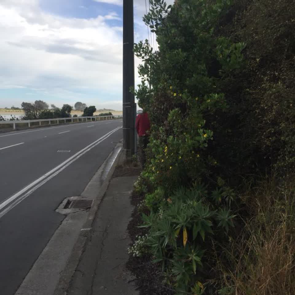 The photograph attached to this roading/streets report