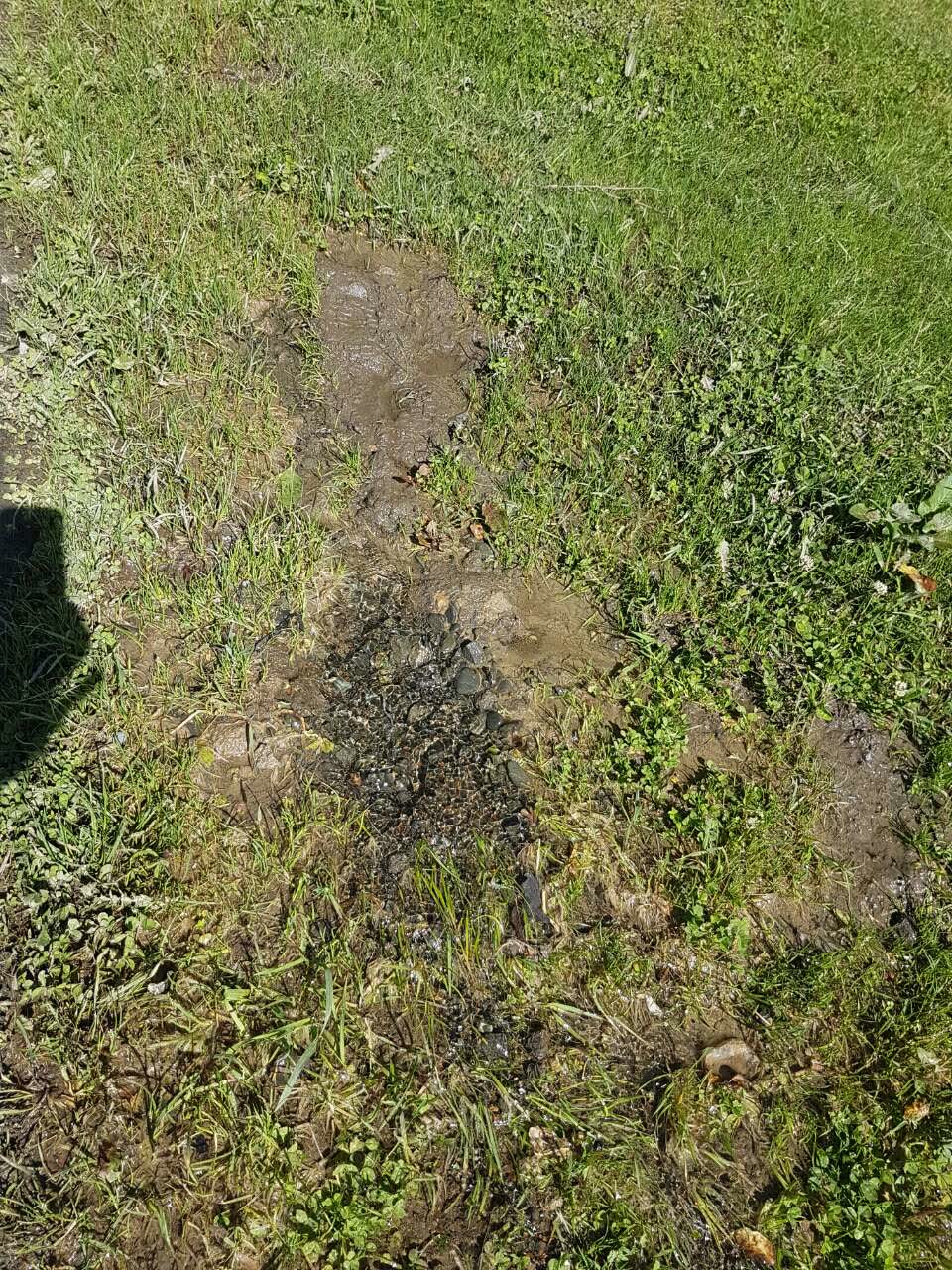 The photograph attached to this flooding report