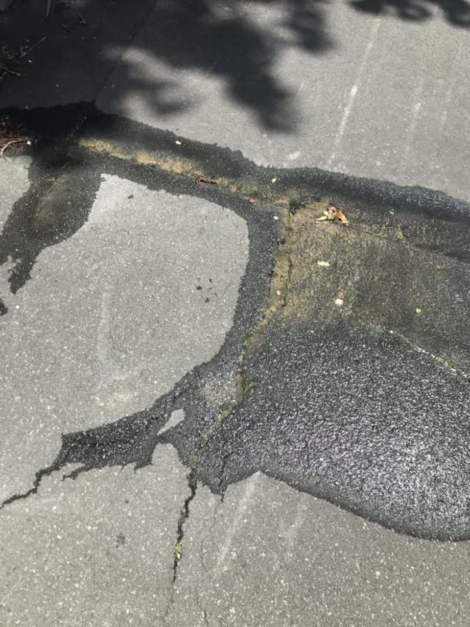 The photograph attached to this water supply report