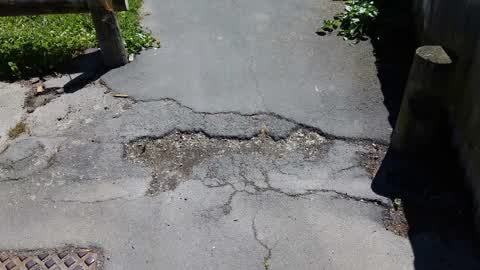 Roading/Streets, a report photo