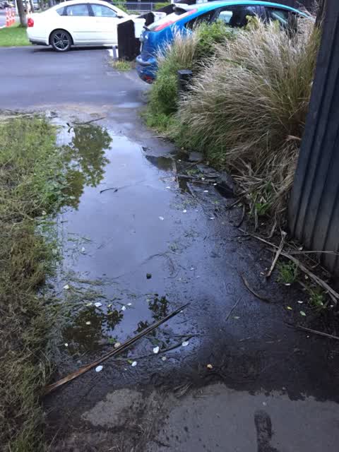 Water Supply, a report photo