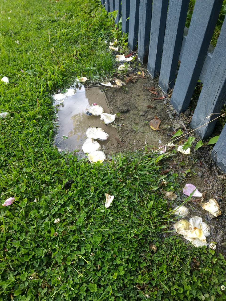 The photograph attached to this water supply report