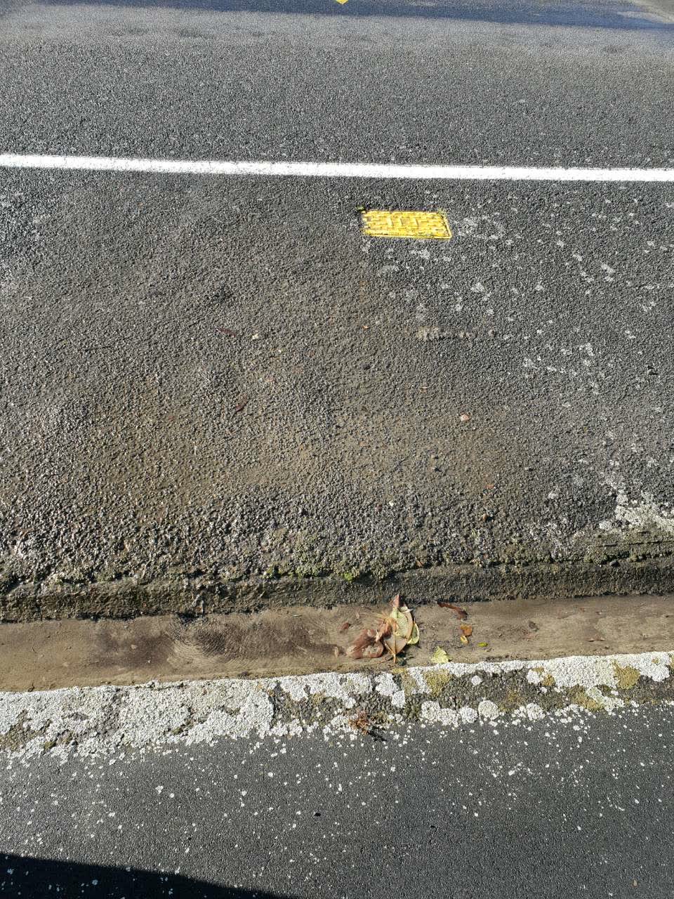 The photograph attached to this water supply report