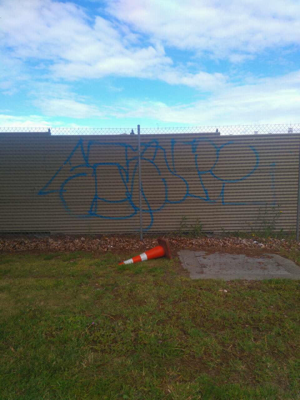 The photograph attached to this graffiti report