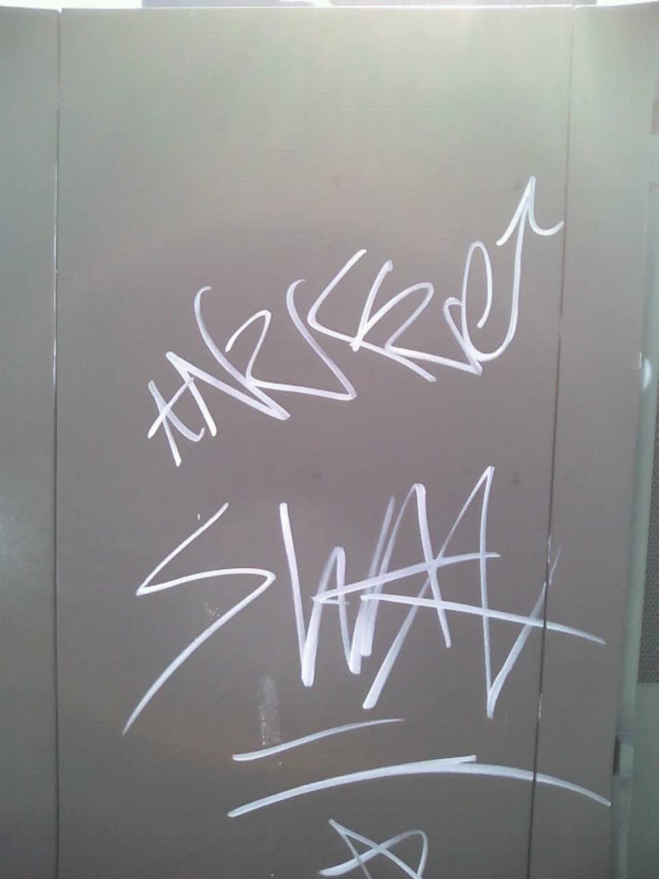 The photograph attached to this graffiti report